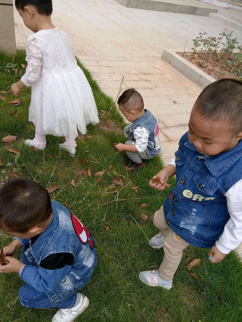 圖片3.jpg 圖片3.jpg