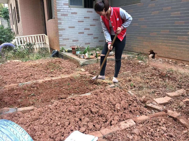 1102_1.jpg 1102_1.jpg