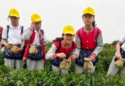 1621044597104859.png 1621044597104859.png