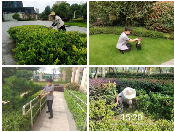 1689153723502.png 1689153723502.png