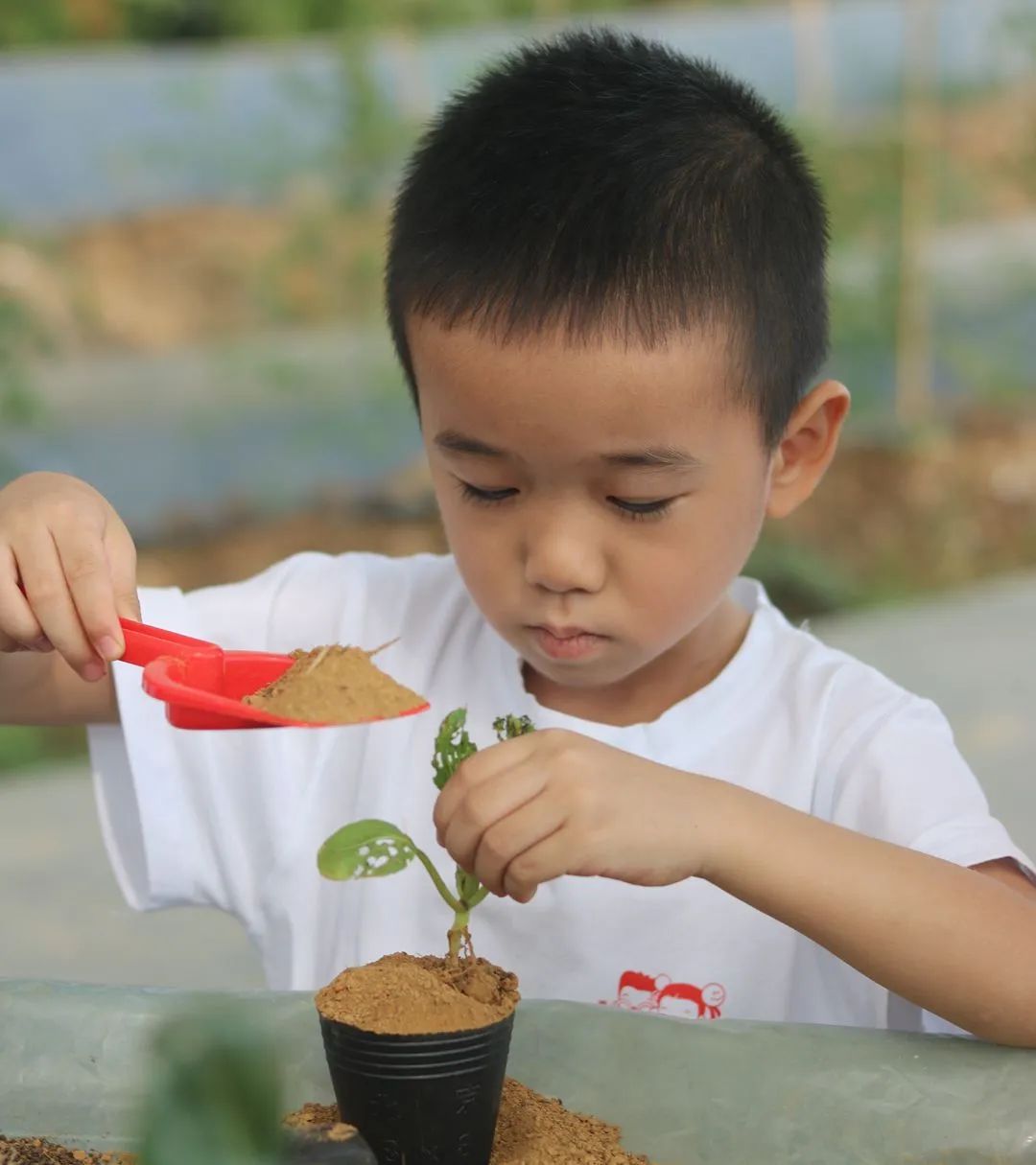 00e2ec726ad2f8049264c29270161996_640_wx_fmt=jpeg&wxfrom=5&wx_lazy=1&wx_co=1.jpg 00e2ec726ad2f8049264c29270161996_640_wx_fmt=jpeg&wxfrom=5&wx_lazy=1&wx_co=1.jpg