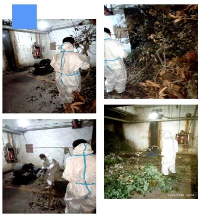 1699256614386.png 1699256614386.png