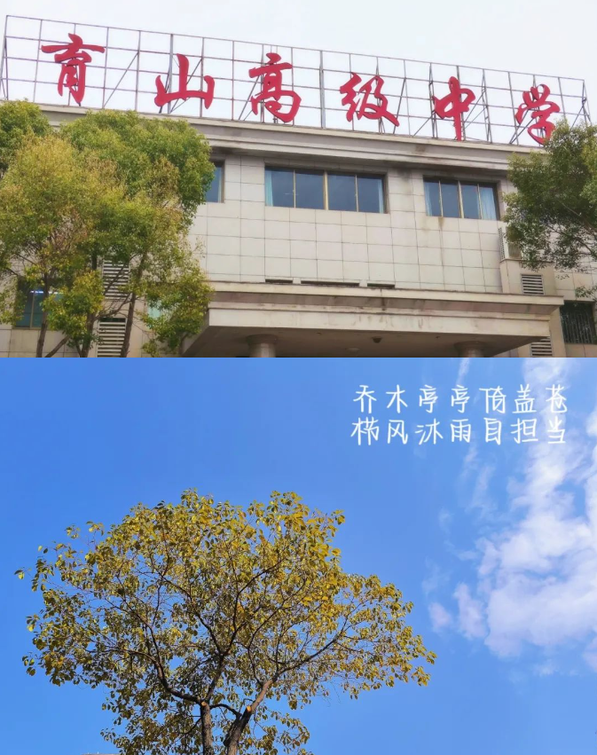 1711856757609.png 1711856757609.png