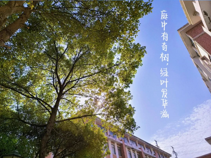 1711856782109.png 1711856782109.png