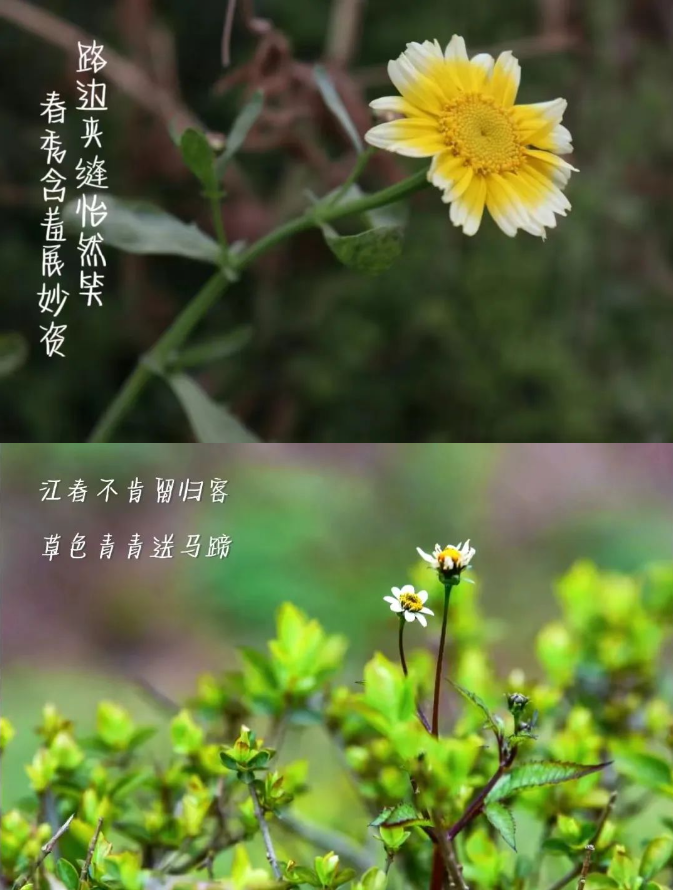 1711856826150.png 1711856826150.png